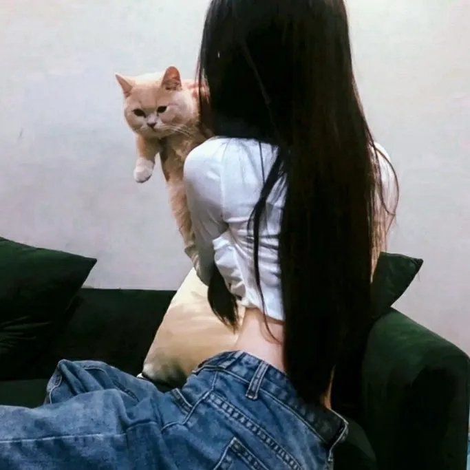 泰迪熊2